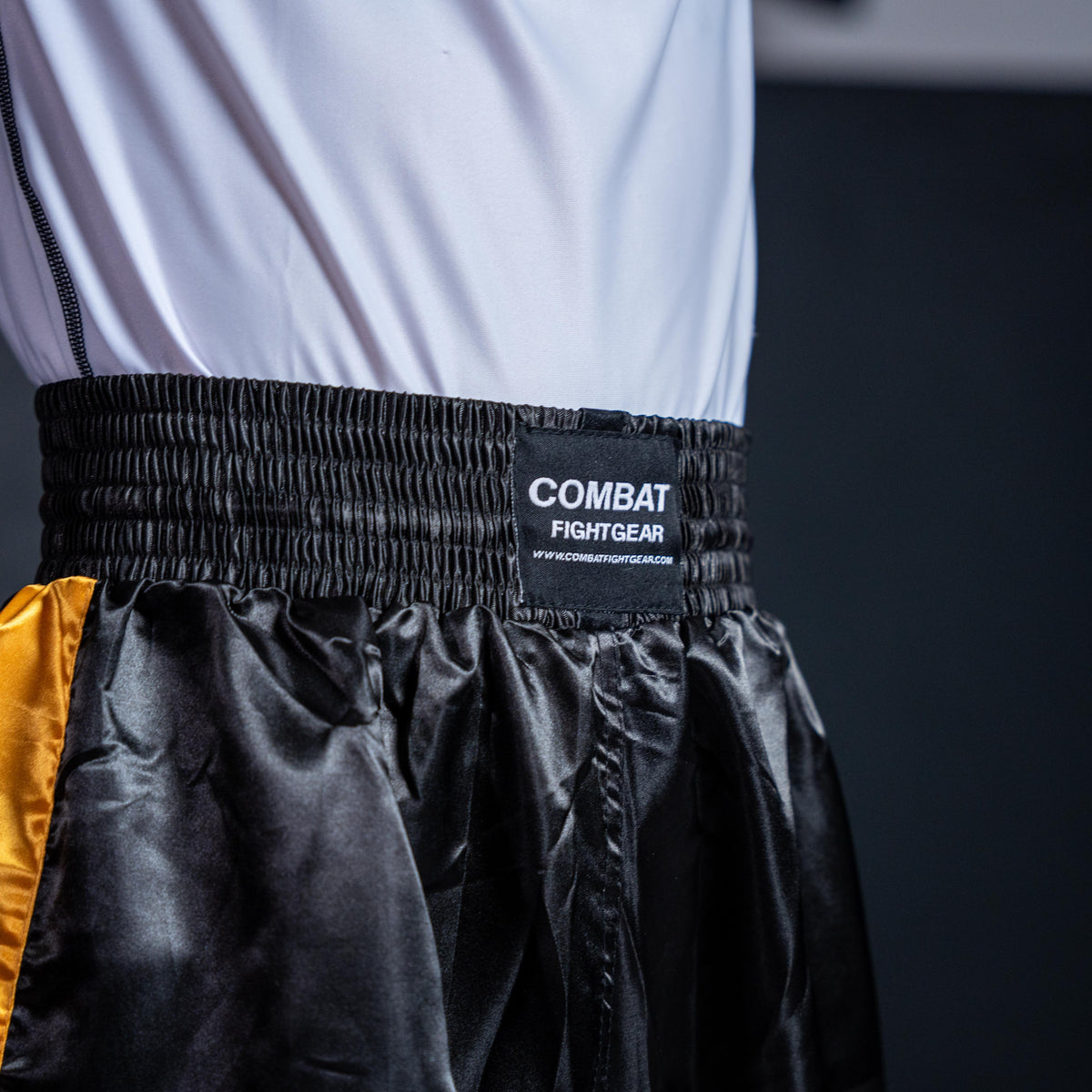Combat Fight Gear Kickboxing Pants – Series