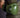 Combat Fight Gear Prime Leather Boxing Gloves – Army Green
